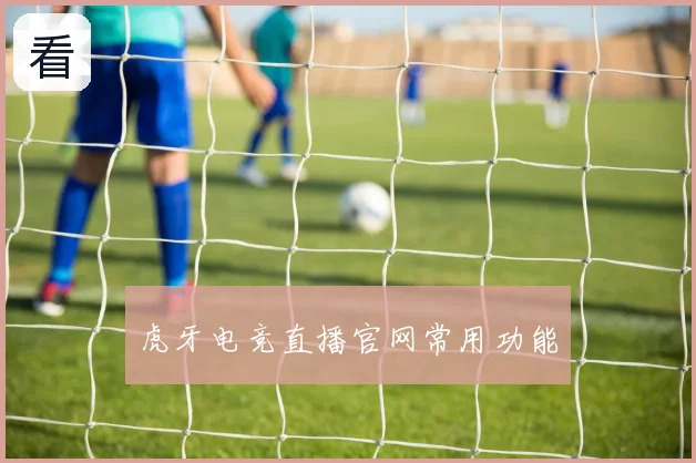 虎牙电竞直播官网常用功能